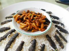 -大笮风(体育馆总店)