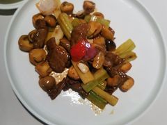 -粤财皇冠假日酒店·彩华轩中餐厅