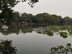 -西湖游船