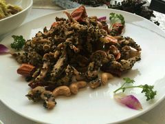 -蔓兰家的四季S0餐厅·融合菜(当代MOMA店)