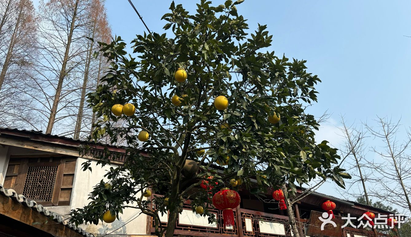 地道美味+园林风景+蜀地文化情怀