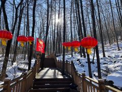 -鲁山国家森林公园