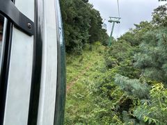 -苍山感通索道