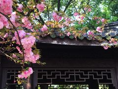 -荆川公园