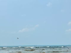 -三亚西岛海洋文化旅游区