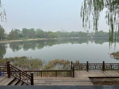 -北坞公园