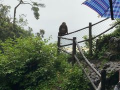 -峨嵋山金顶