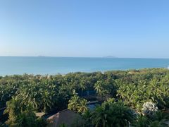 -三亚湾海居铂尔曼度假酒店