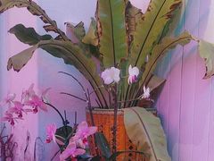 -北平花园·MUA摩造汉堡·北平咖啡(南锣鼓巷胡同店)