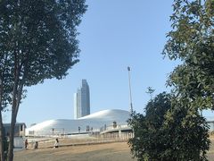 -月湖风景区