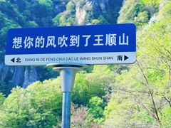 -王顺山国家森林公园
