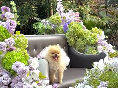 -J Create城市露营咖啡·简餐·宠物(上海动物园店)