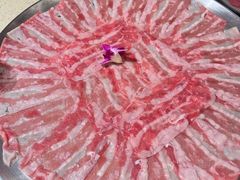 -朱光玉火锅馆(龙阳广场店)