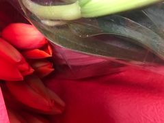 -双季花艺园艺市场(浦东店)