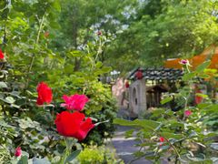 -渭南桃花源民俗文化园