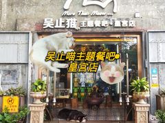 -more than meow吴止猫主题餐厅(承德 中船汇店)