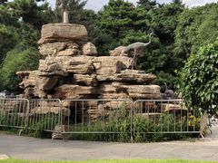 -长春市南湖公园