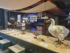 -现代汽车文化中心 Hyundai Motorstudio Beijing