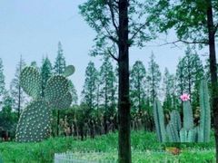 -前小桔亲子创意农场·草莓采摘·露营烧烤