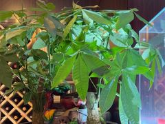 -喜湘宴·精致湖南菜(和平西桥店)