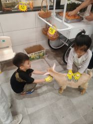 -第五极儿童乐园