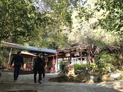 -故乡缘·香格里拉山庄(冷竹路店)