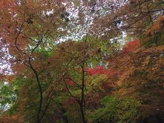 -五女山景区