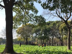 -熙盛源(复兴路店)