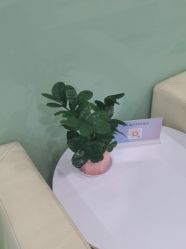 -重庆联合丽格第五医疗美容医院