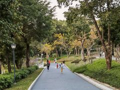 -炮台山公园