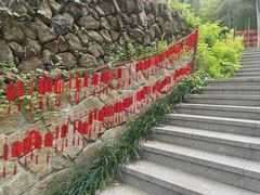 -东明山森林公园