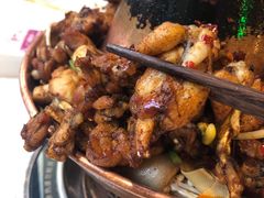 -蛙蛙叫干锅年代(簋街总店)