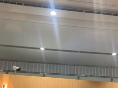 -麦当劳(北京大兴机场二层国内到达(安检外)店)