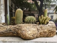-小洲村