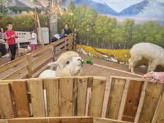 -正佳雨林生态植物园