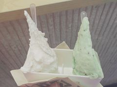 -野人先生现做冰淇淋(西安赛格店)