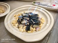 -单家老院·院子里的青岛菜(沙子口店)