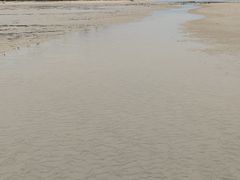 -贝壳沙滩
