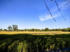 -长兴太湖图影湿地文化园