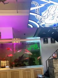-雕哥的纹身店A3 TATTOO&纹身培训