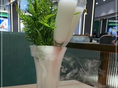 -探窝·竹笙椰子鸡(杨箕店)