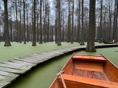 -渌洋湖湿地公园