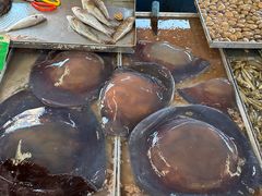 -登州市场(登州路店)