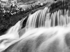 -广州白江湖森林公园