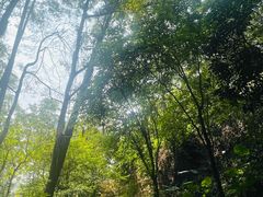 -火炉山森林公园