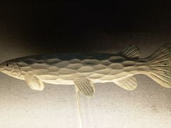 -辣尚瘾·烤鱼·新川菜(交大直营店)