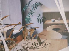 -溯洄咖啡VORTEX COFFEE