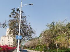 -小南山公园