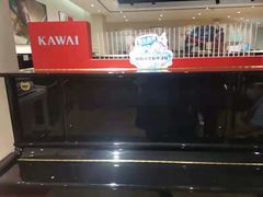 -柏斯音乐艺术中心·钢琴·吉他(上音店)