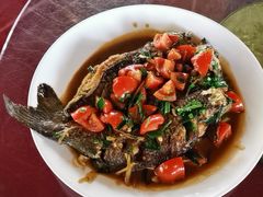 -生态苑农庄(十里画廊遇龙河店)